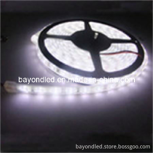 High Brightness White Color Flexible LED Strip Light